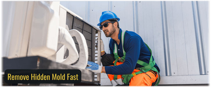 HVAC Mold Removal Huntley IL